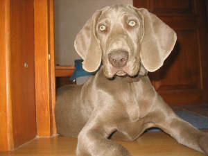 conie_img_5340.jpg
